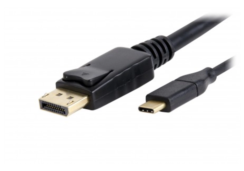 LMP USB-C to DisplayPort cable