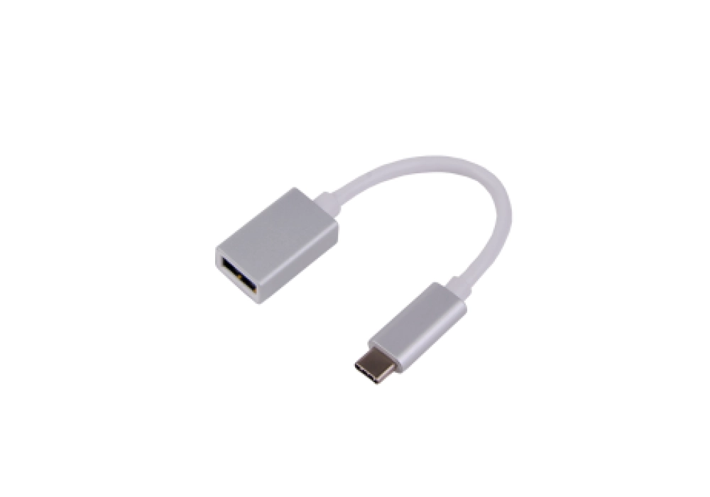 LMP USB-C to USB-A Adapter (Silver)