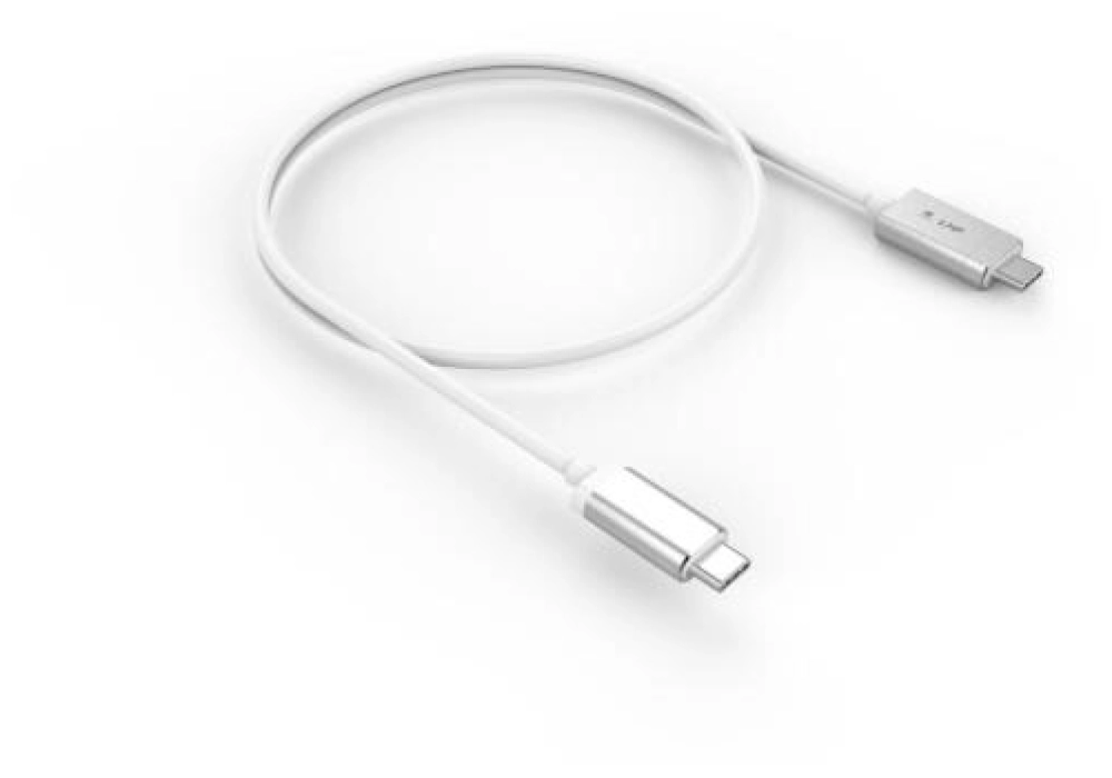 LMP USB Power Cable Magnetic Safety USB-C - USB-C - Silver - 1.8 m