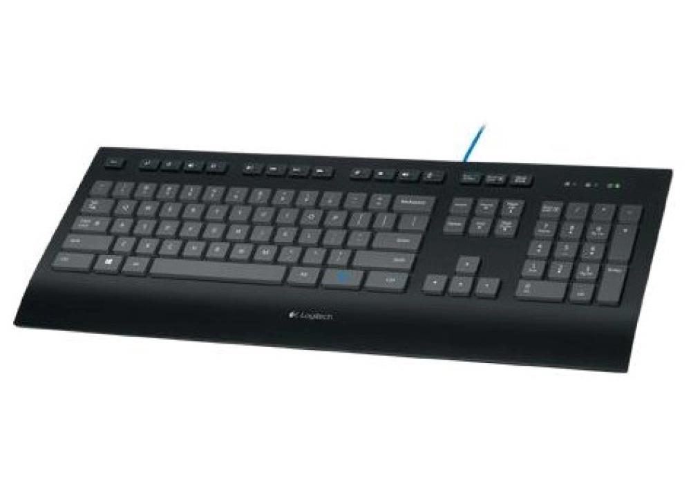 Logitech Keyboard K280e for Business (CH Layout)