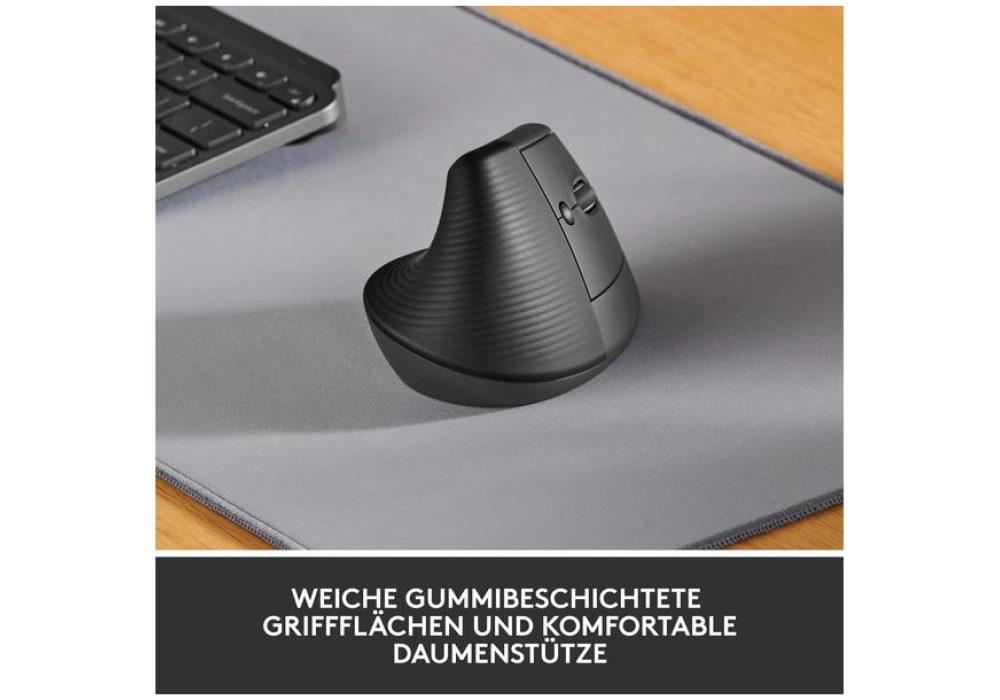 Logitech Lift (Graphite)