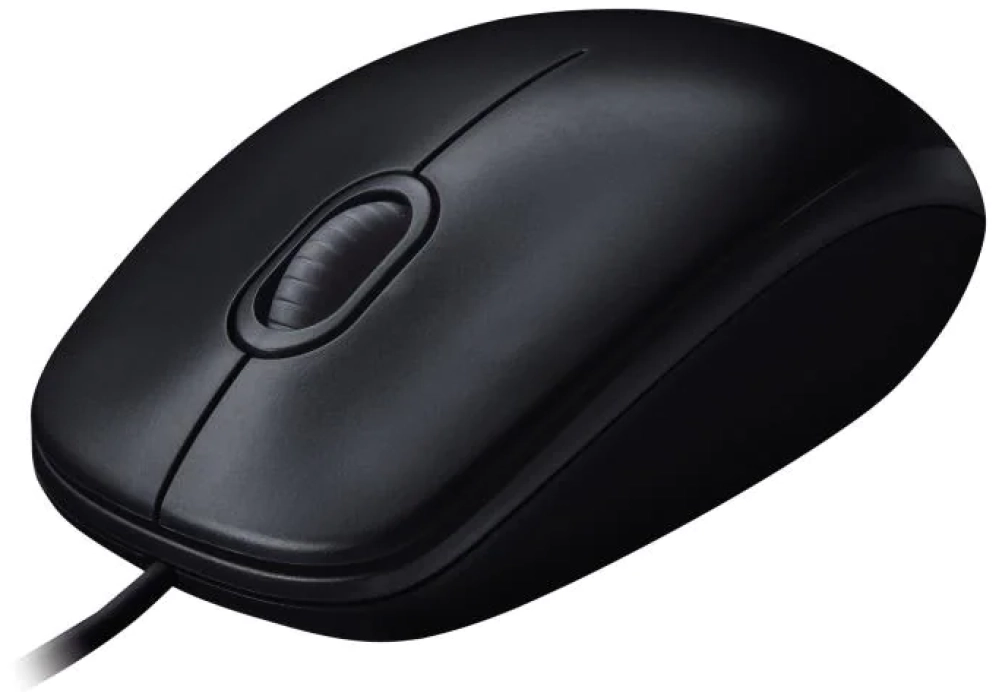 Logitech M100 (Noir)