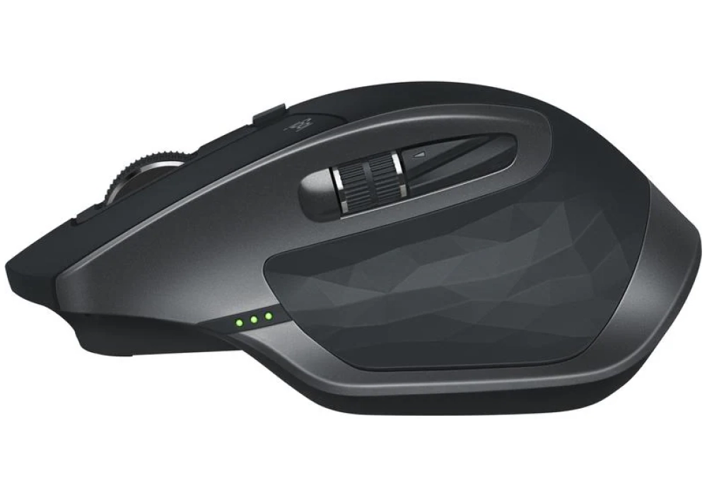 Logitech MX Master 2S graphites