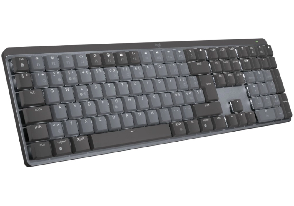 Logitech MX Mechanical (CH)