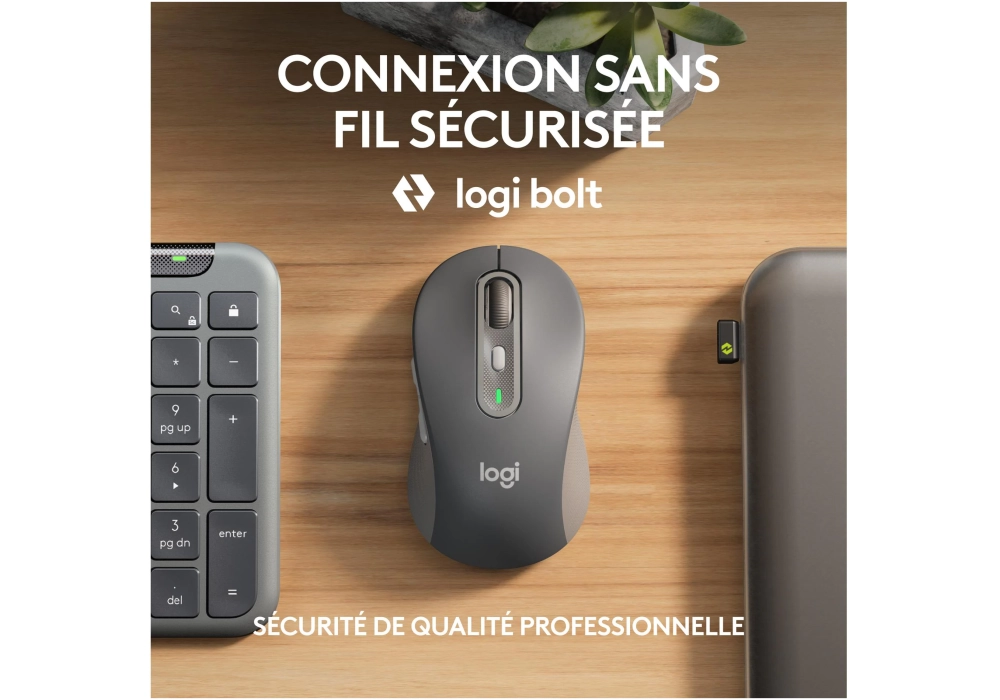 Logitech  Signature Slim Combo MK950 for business  (CH Layout)