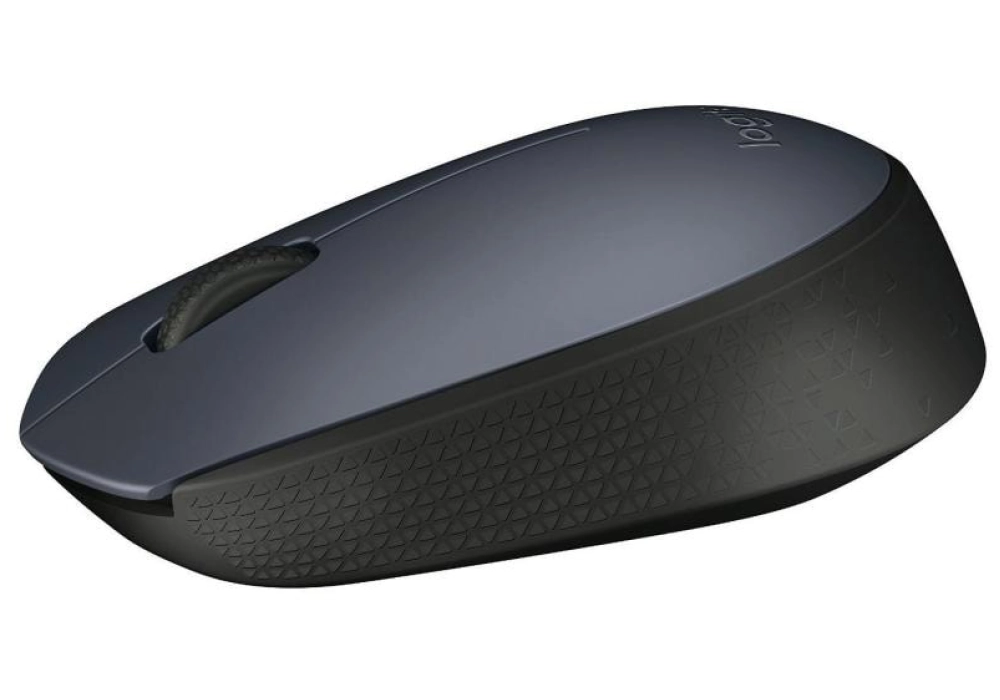 Logitech Souris sans-fil M170