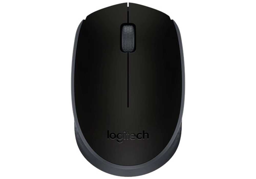 Logitech Wireless Mouse M171 - Noir