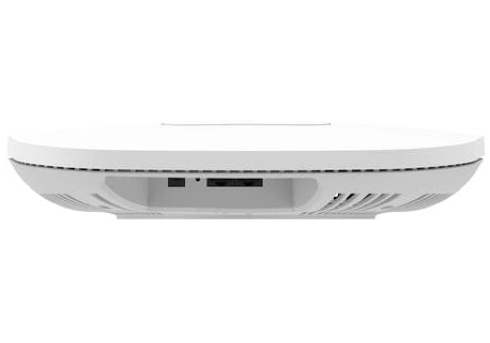 Netgear Mesh Access Point WAX630E