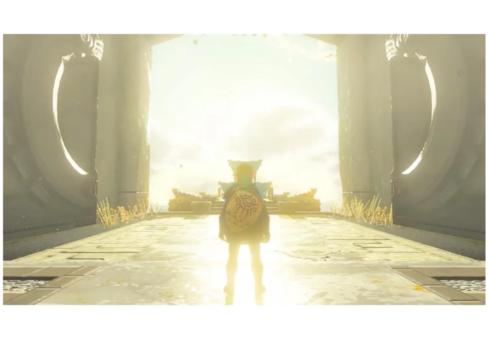 Nintendo The Legend of Zelda: Tears of the Kingdom