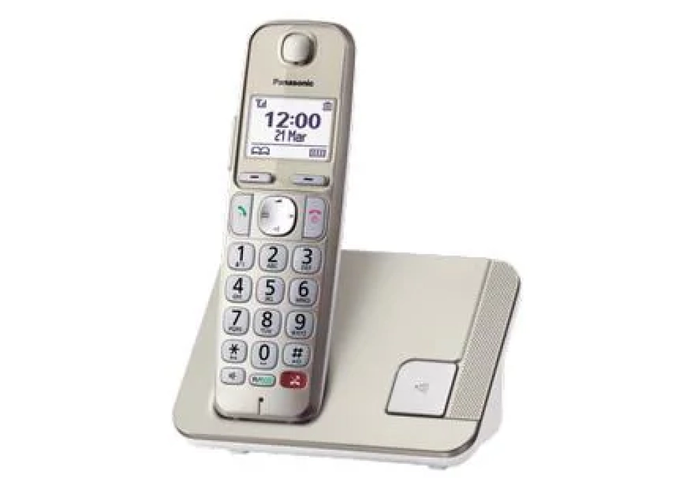 Panasonic Téléphone sans fil KX-TGE250SLN Champagne