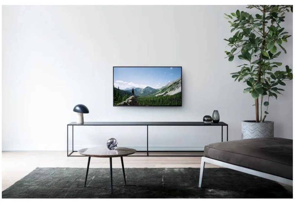 Panasonic TV TX-43MSW504 43", 1920 x 1080 (Full HD), LED-LCD