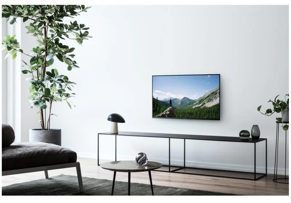 Panasonic TV TX-43MSW504 43", 1920 x 1080 (Full HD), LED-LCD