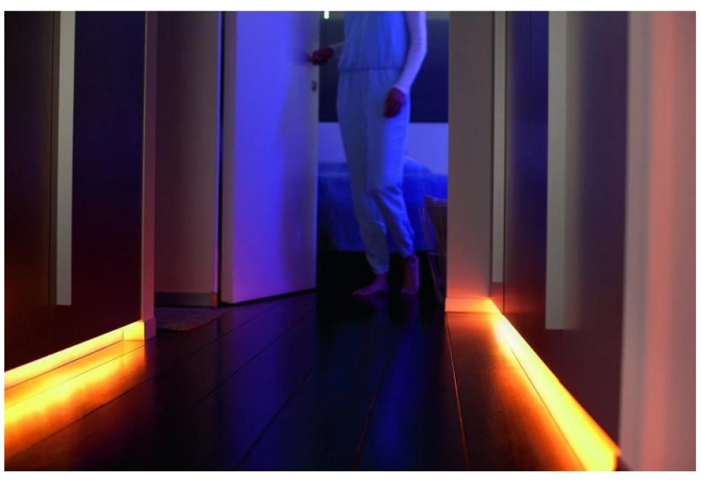 Philips Hue Bande lumineuse LED 1m Extension, version 4 (2020)