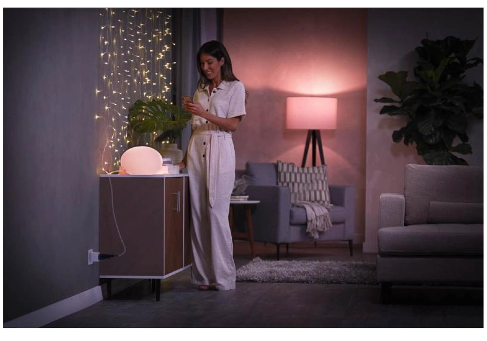 Philips Hue Smart Plug CH