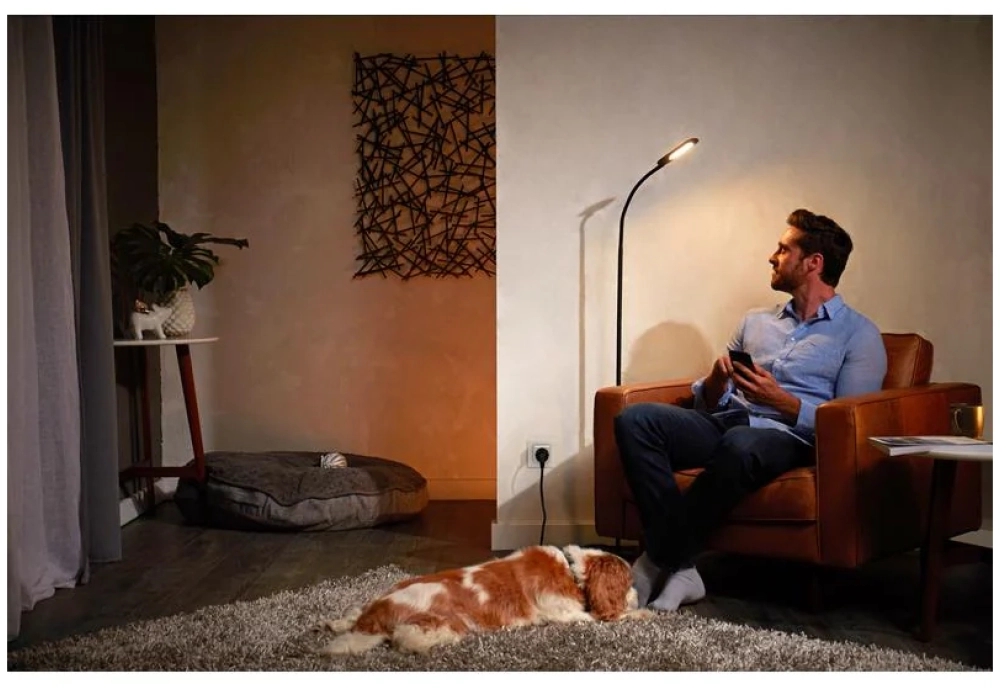 Philips Hue Smart Plug CH - Kit de 3