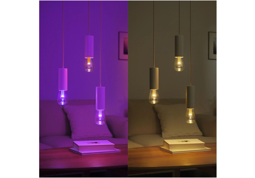 Philips Hue White & Color Ambiance Lightguide Giant Edison ST72 E27