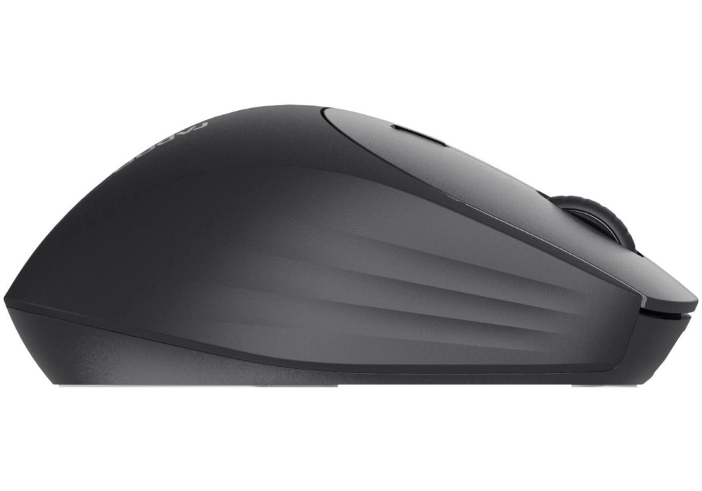 Rapoo Souris MT560 Noir