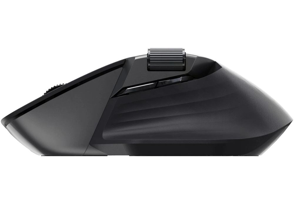 Rapoo Souris MT760L Noir