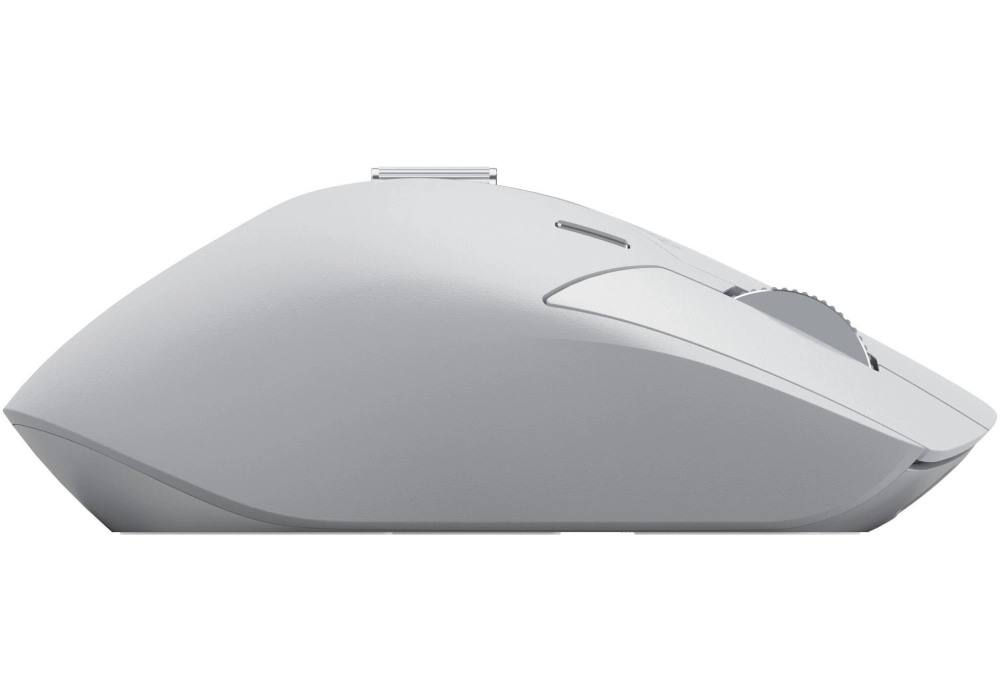 Rapoo Souris MT760M Gris