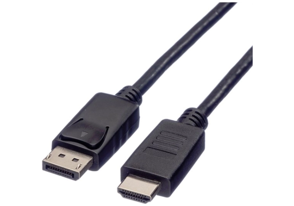 ROLINE DisplayPort / HDMI Cable - 1 m