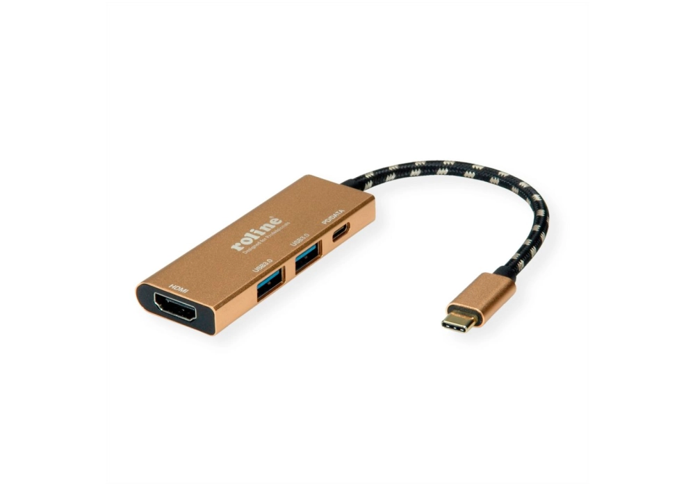 ROLINE GOLD USB 3.2 Gen1 Type-C Dock