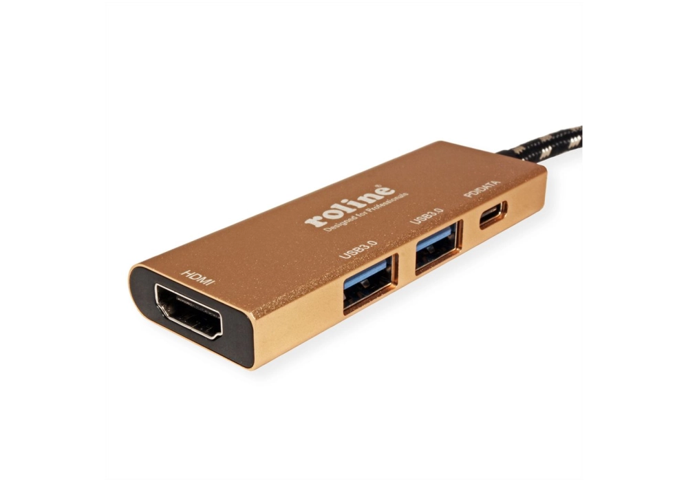 ROLINE GOLD USB 3.2 Gen1 Type-C Dock