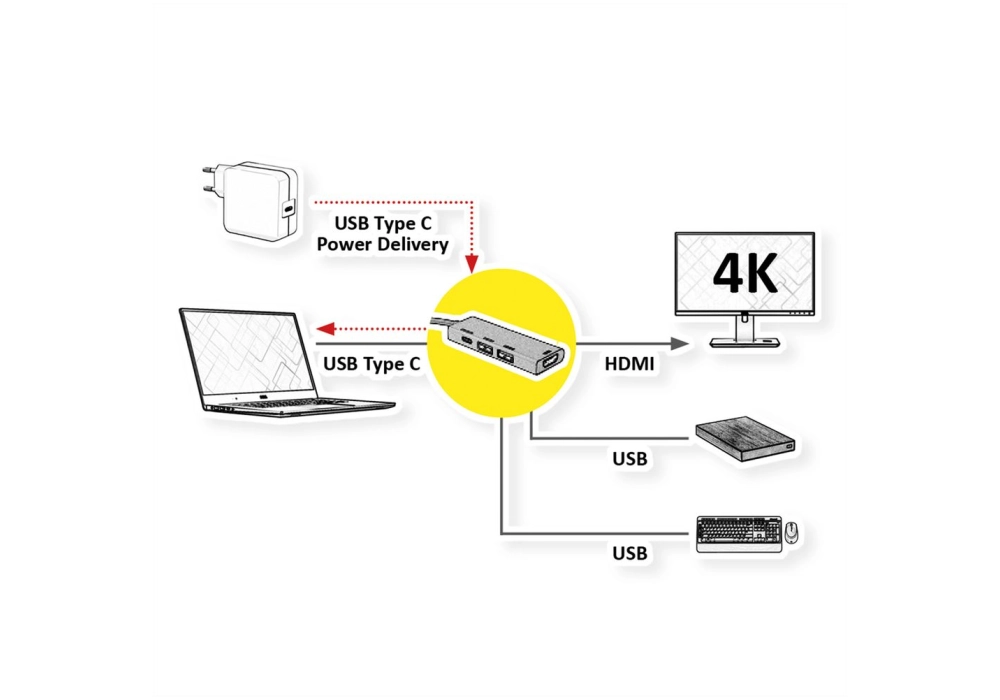 ROLINE GOLD USB 3.2 Gen1 Type-C Dock