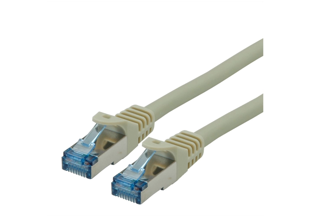 ROLINE Network Cable Cat 6a SFTP (Gris) - 1.0 m