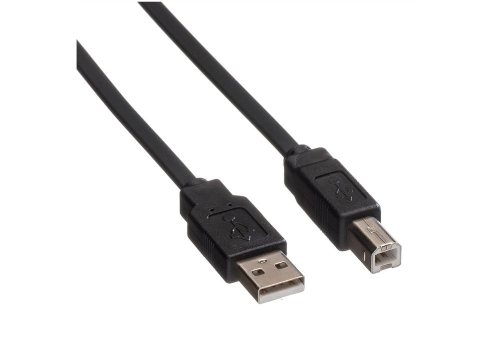 ROLINE USB 2.0 A/B Cable plât - 1.80 m (pour imprimante)