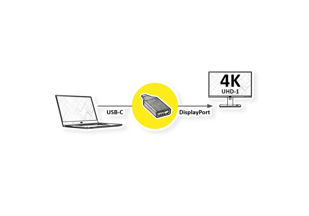 ROLINE USB Type-C / DisplayPort 1.2 Adapter