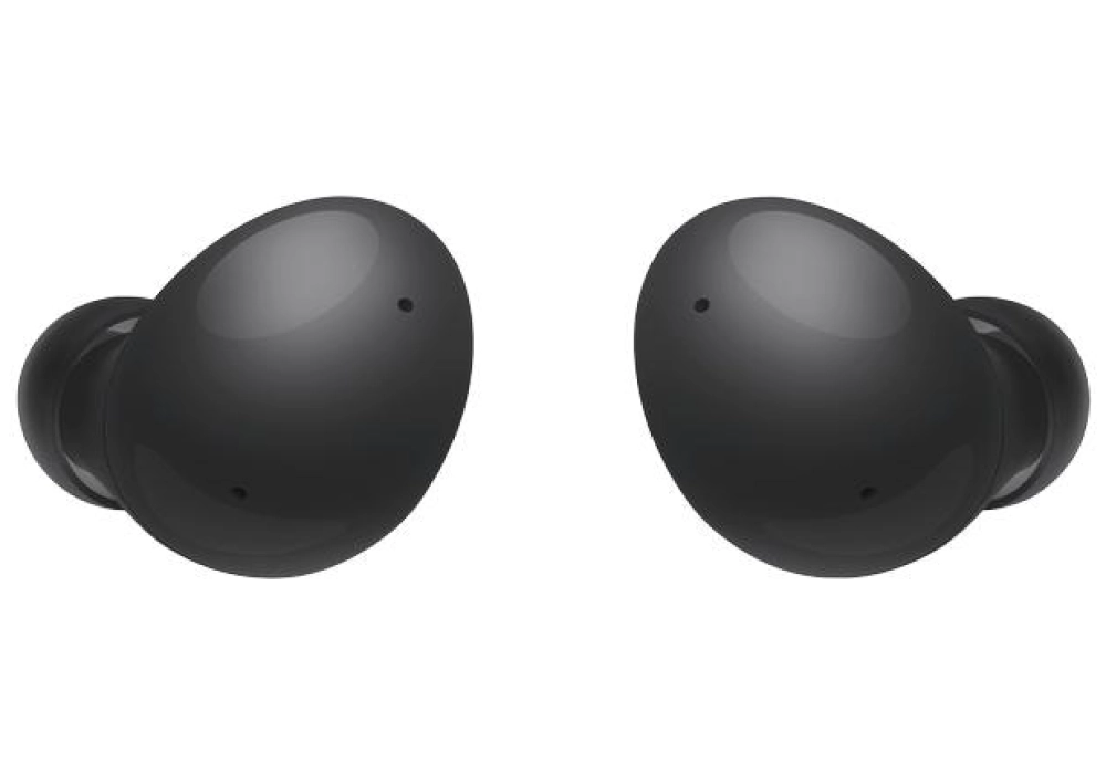 Samsung Galaxy Buds 2 (Noir)