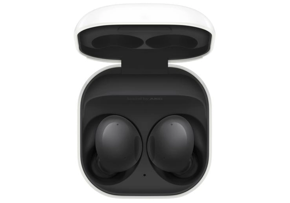 Samsung Galaxy Buds 2 (Noir)