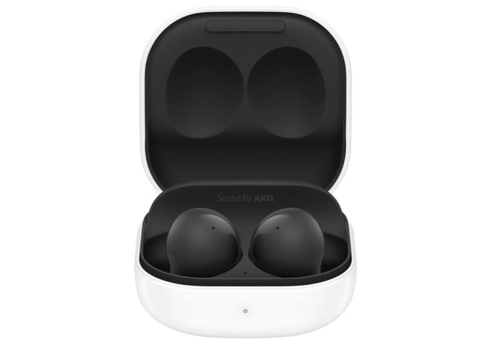 Samsung Galaxy Buds 2 (Noir)