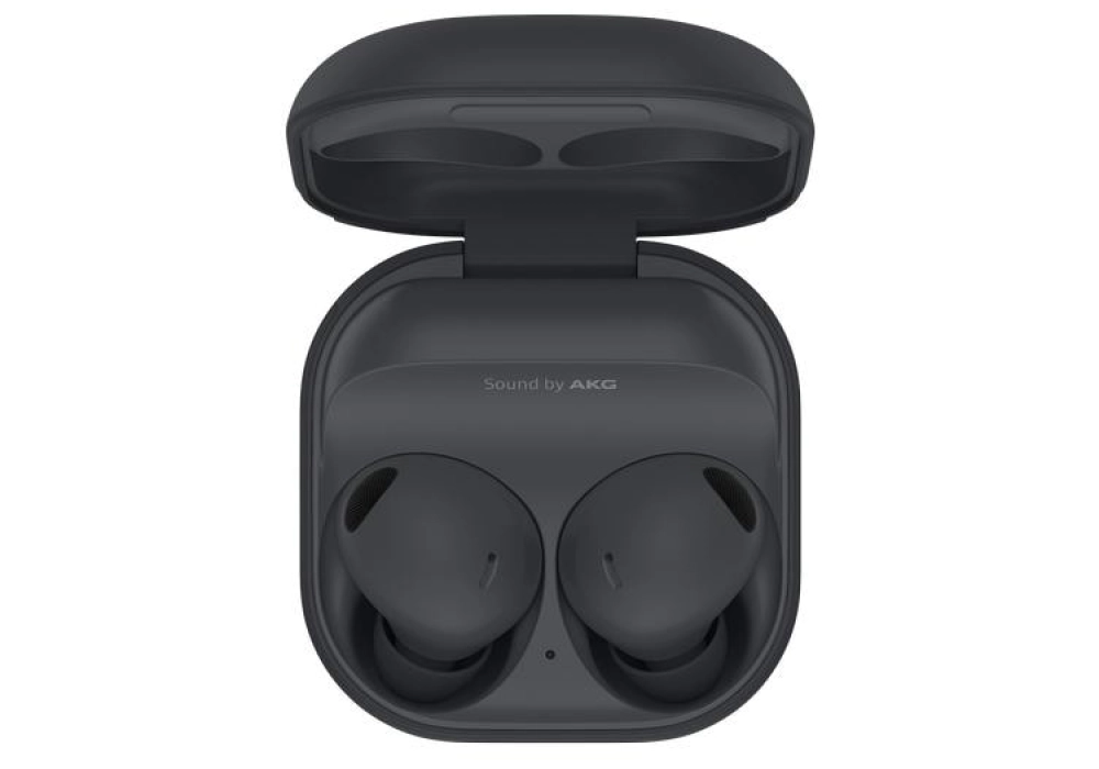 Samsung Galaxy Buds2 Pro (Graphite)