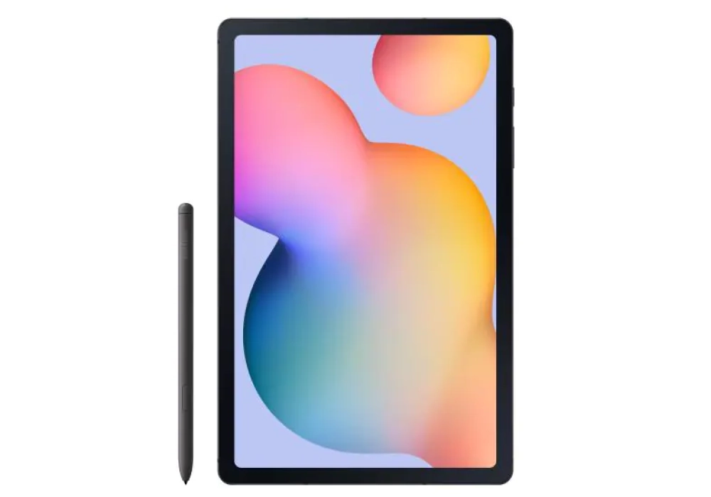 Samsung Galaxy Tab S6 Lite SM-P613 2022 - 64 GB (EU - Gris)