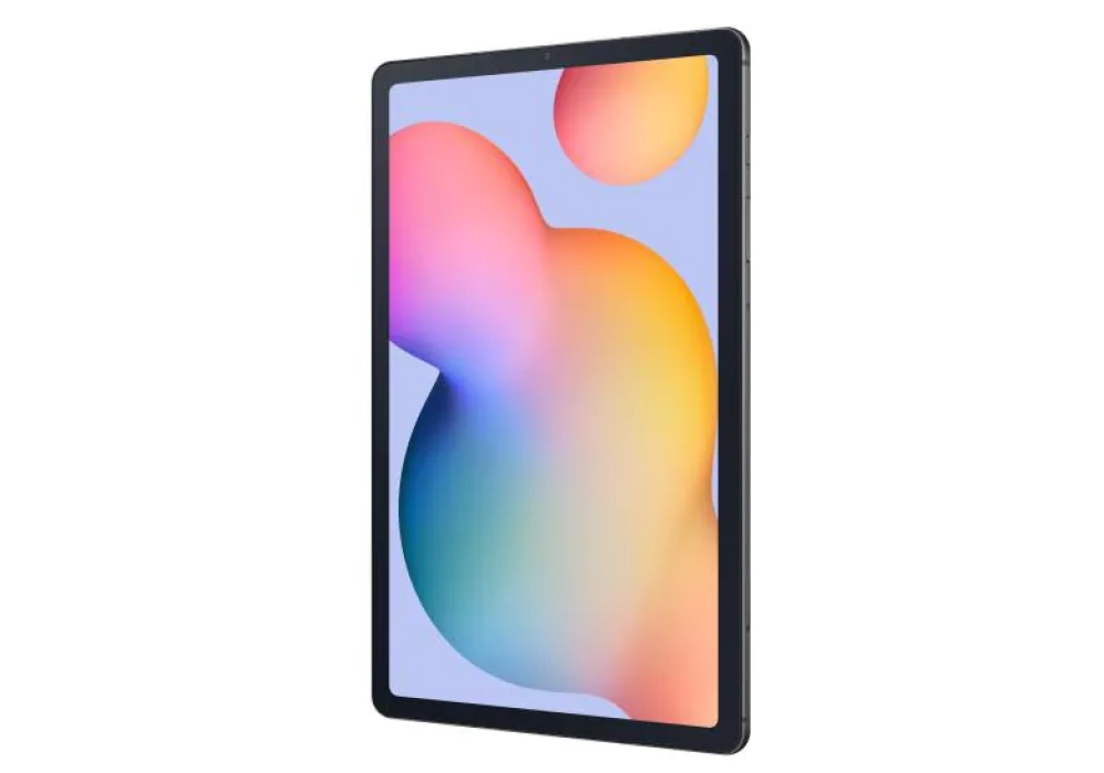 Samsung Galaxy Tab S6 Lite SM-P613 2022 - 64 GB (EU - Gris)