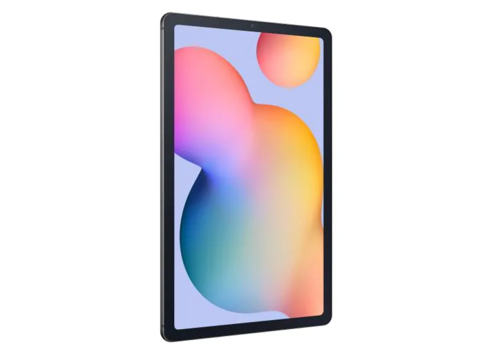 Samsung Galaxy Tab S6 Lite SM-P613 2022 - 64 GB (EU - Gris)