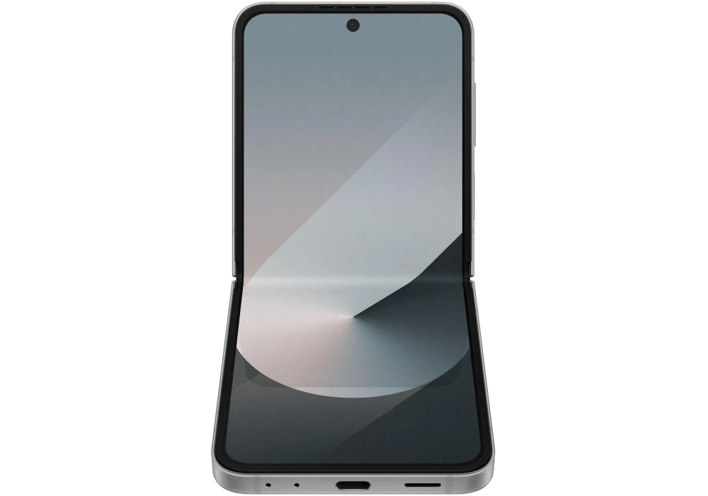 Samsung Galaxy Z Flip6 5G 256 GB Argent