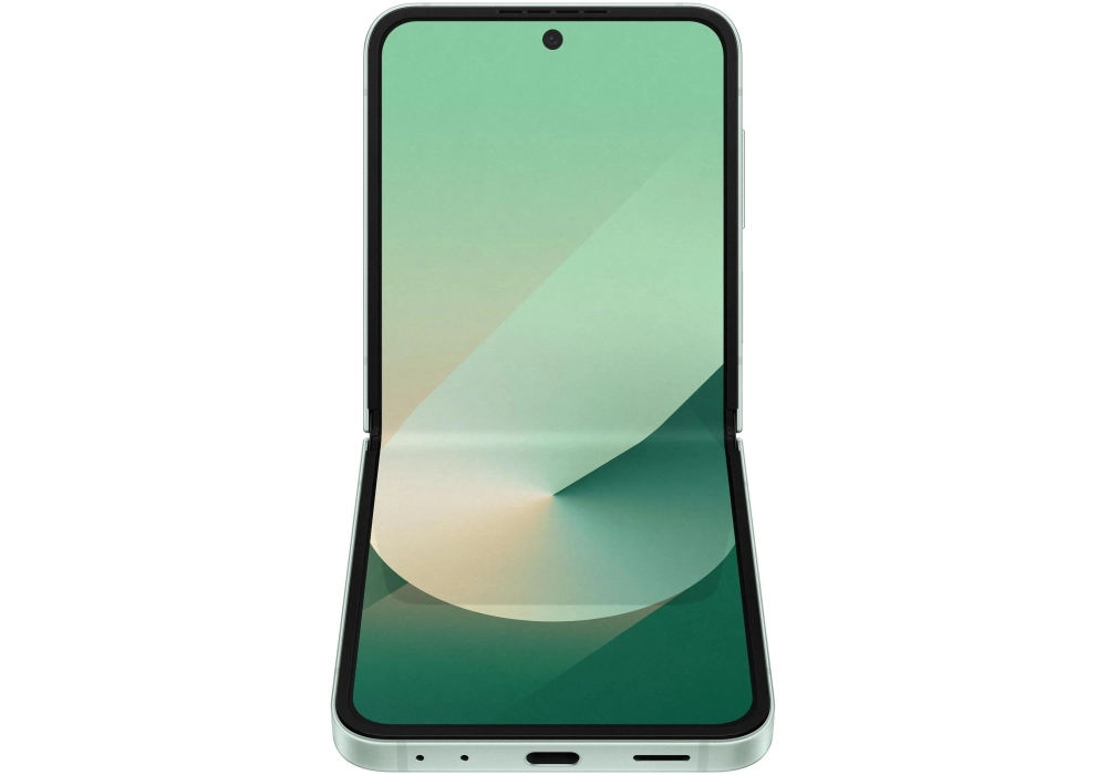 Samsung Galaxy Z Flip6 5G 256 GB Vert