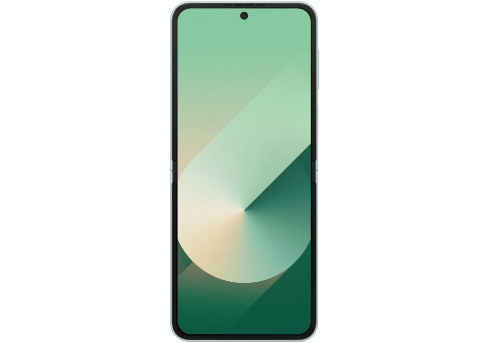 Samsung Galaxy Z Flip6 5G 256 GB Vert