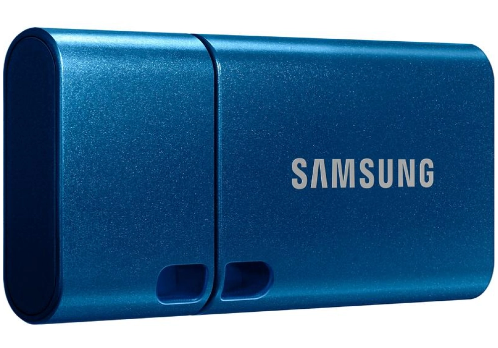 Samsung USB Flash Drive Type-C 128 GB