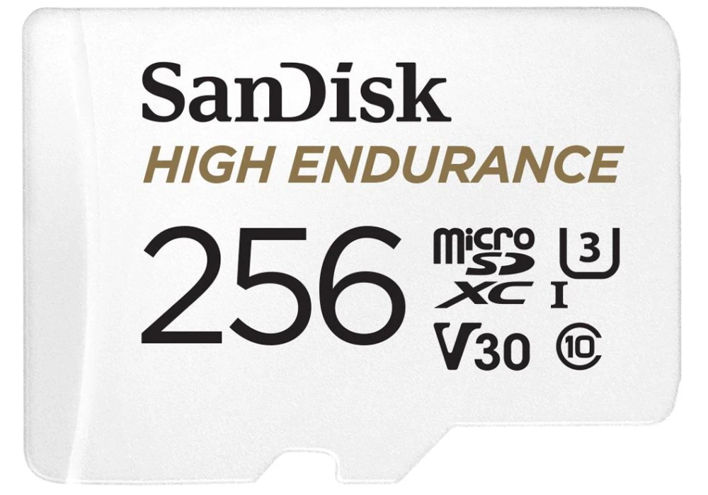 SanDisk microSDXC High Endurance - 256GB