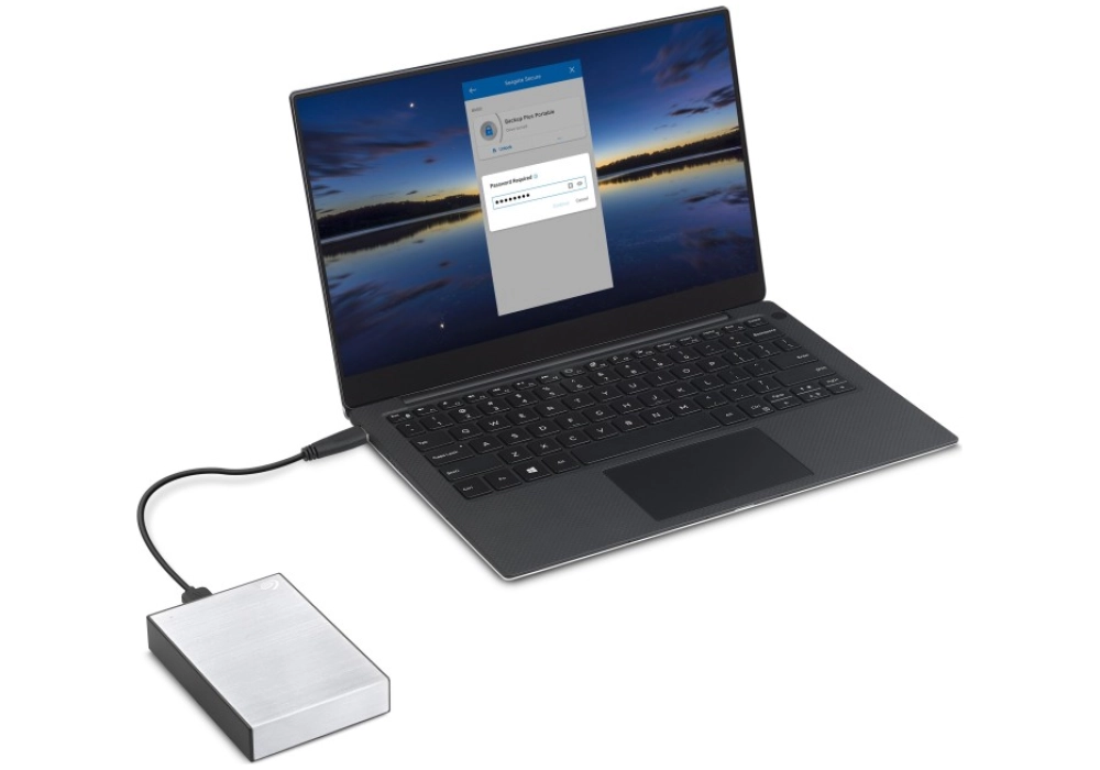 Seagate One Touch Portable 1 TB, Argenté