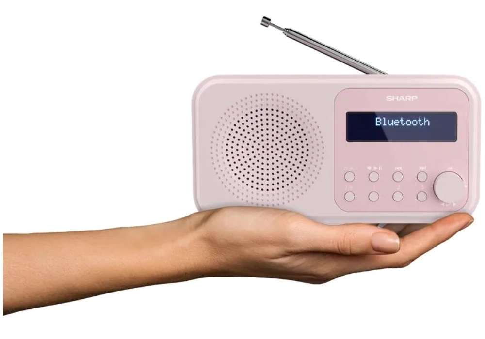 Sharp Radio DAB+ DR-P420 – Rose