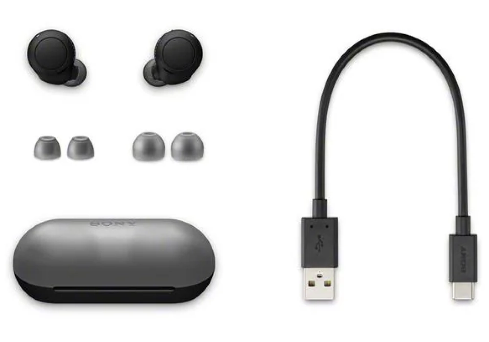 Sony Écouteurs True Wireless In-Ear WF-C500 Noir