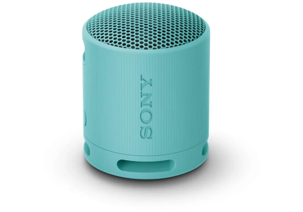 Sony Haut-parleur Bluetooth SRS-XB100 Bleu