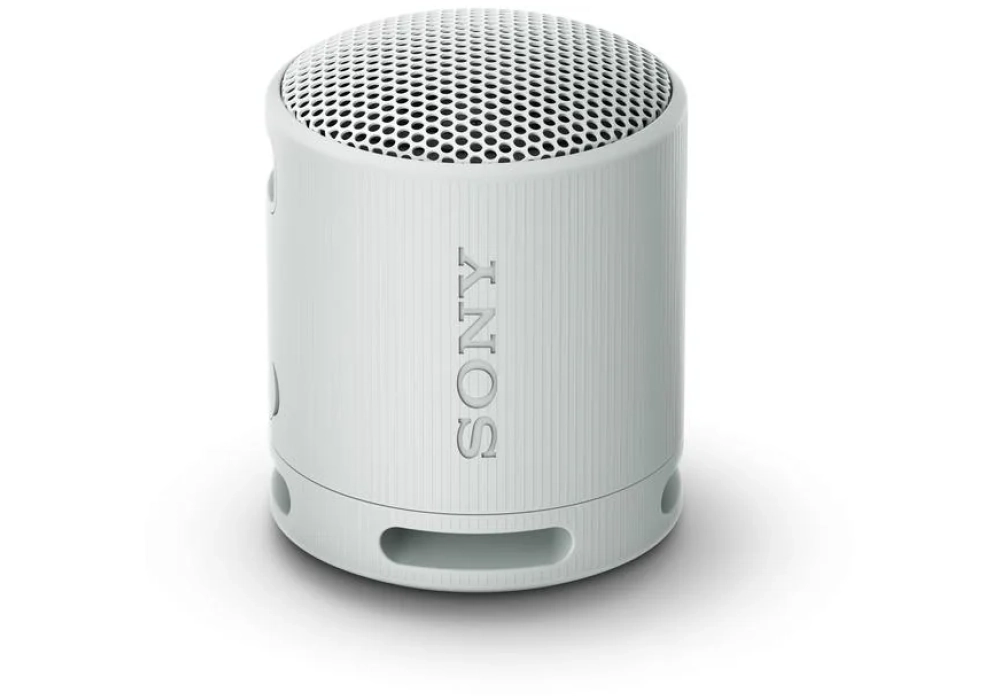 Sony Haut-parleur Bluetooth SRS-XB100 Gris