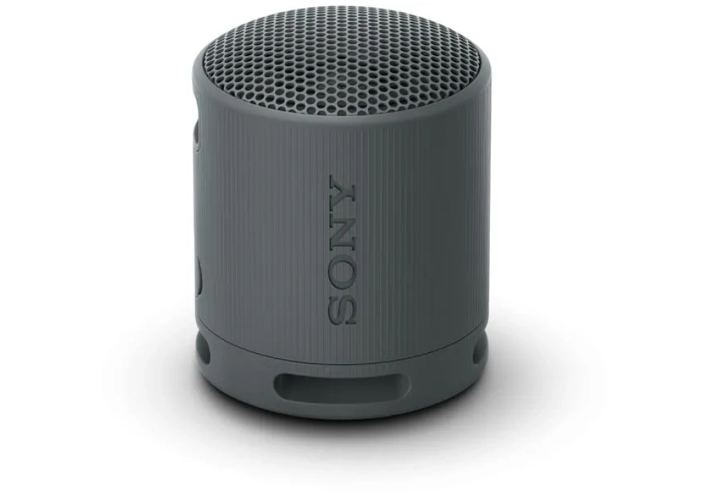 Sony Haut-parleur Bluetooth SRS-XB100 Noir