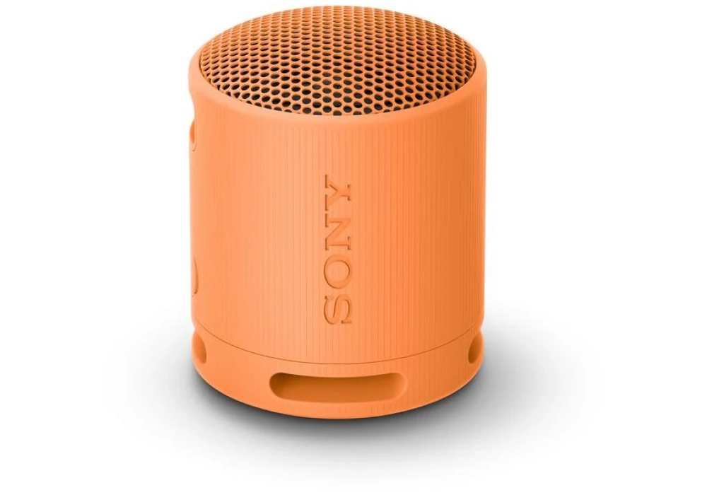 Sony Haut-parleur Bluetooth SRS-XB100 Orange