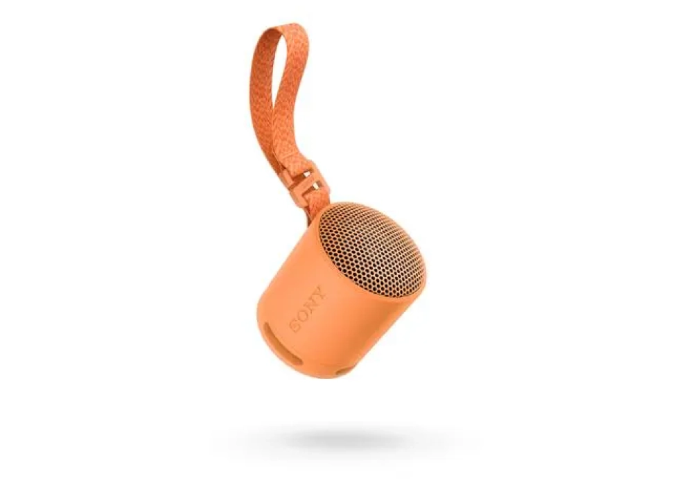 Sony Haut-parleur Bluetooth SRS-XB100 Orange